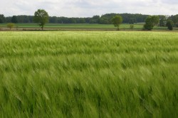 Foto ©2010 Annett Wernitzsch